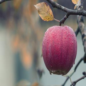 급성 뇌경색 증상 증상과 초기 치료법