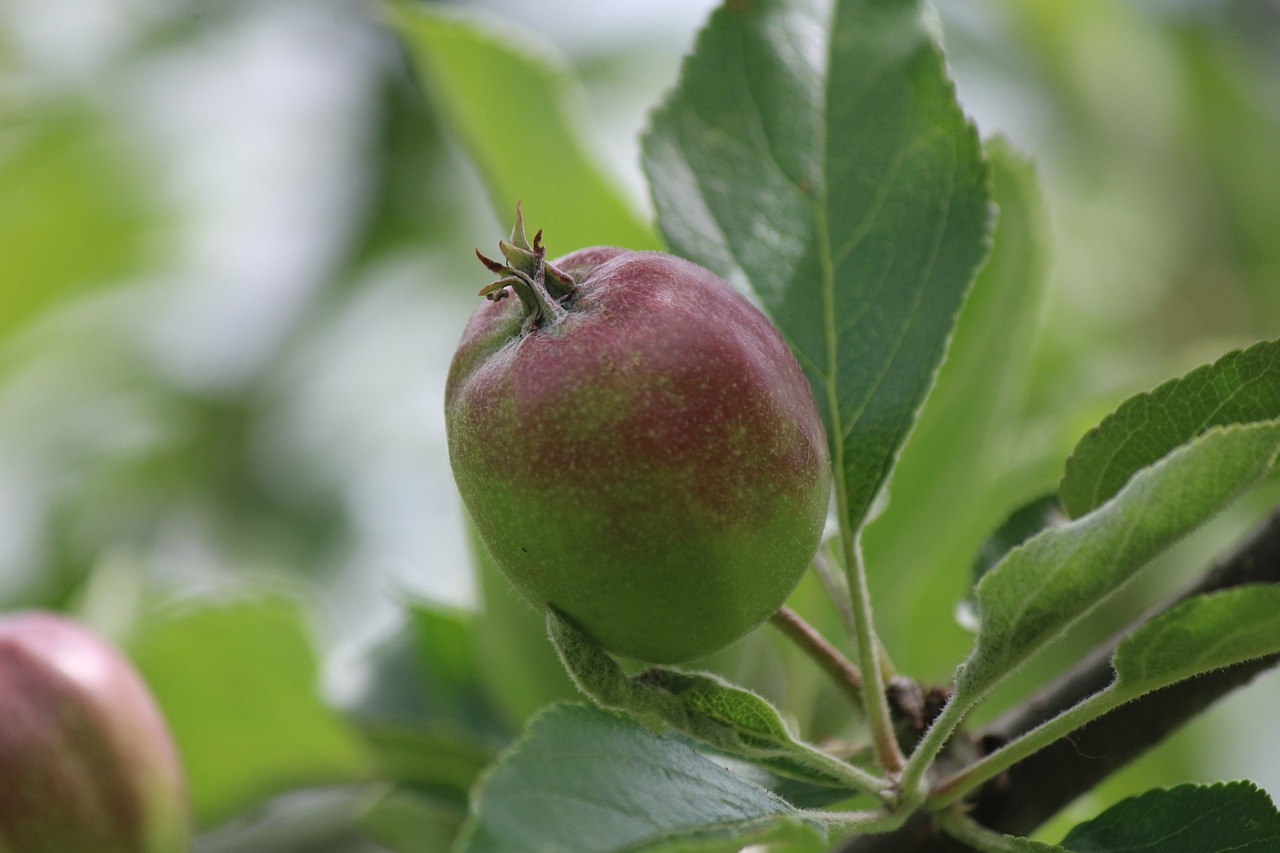 크랩52에서 해산물 파라다이스를 즐기는 법: 가격과 예약 팁까지