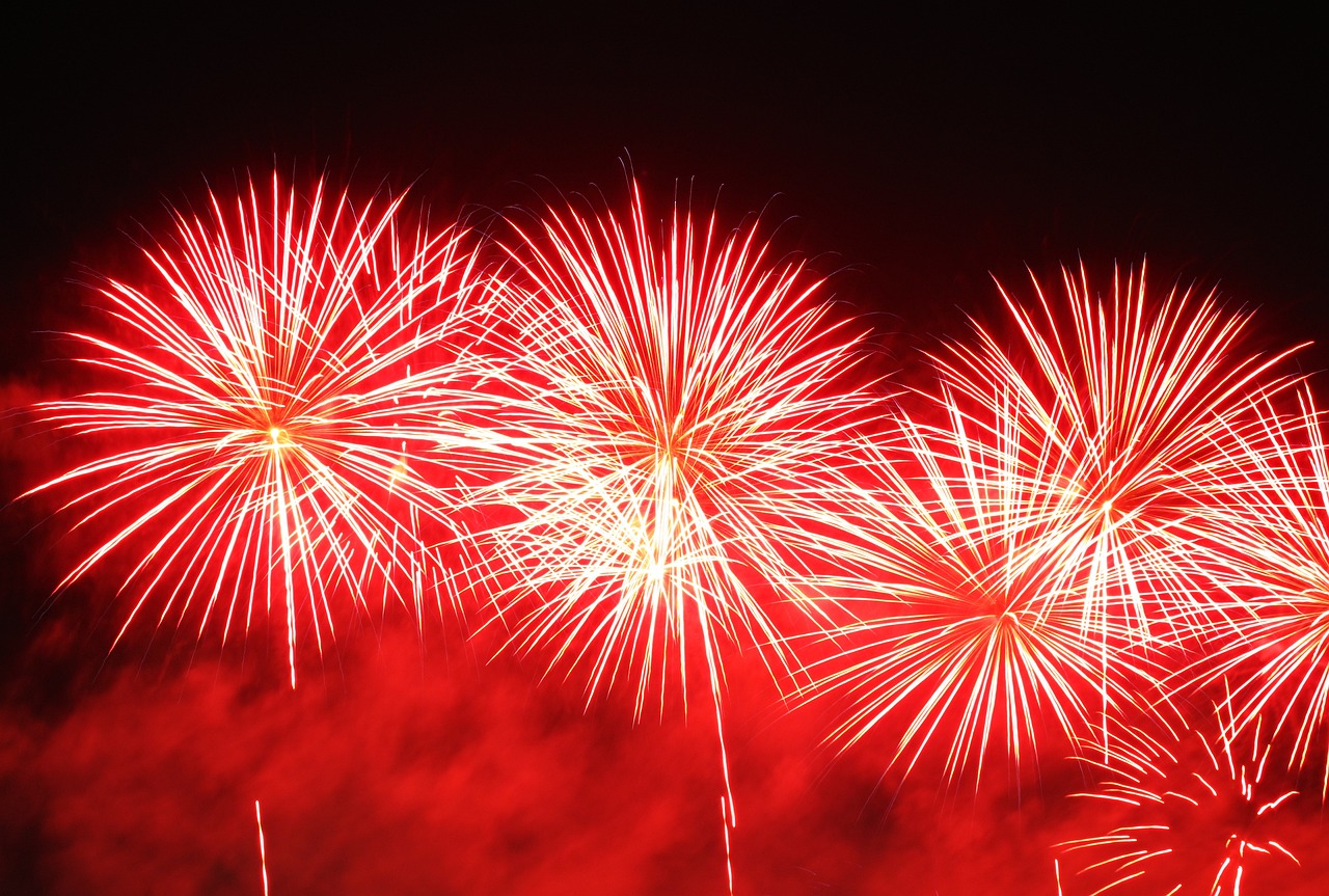 봄의 기운이 전해지는 수원, 다니로그 블로그에서 만나요!