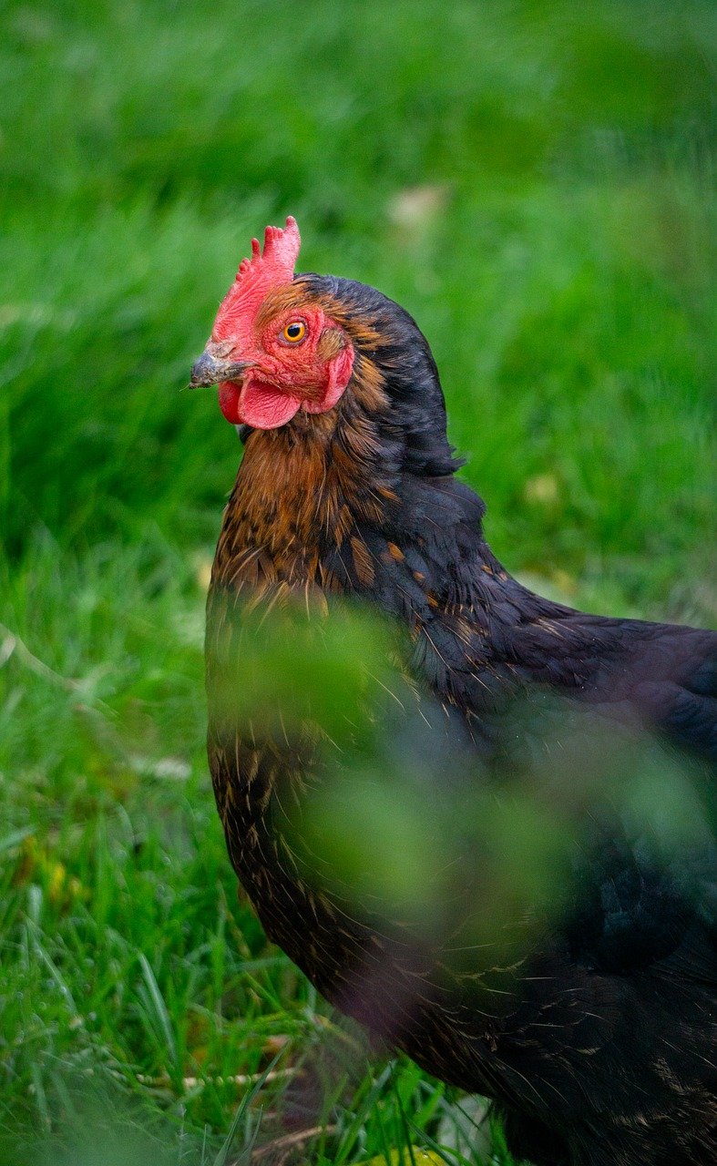 비립종 제거 비용과 효과적인 관리방법, 눈과 얼굴에 대한 모든 것