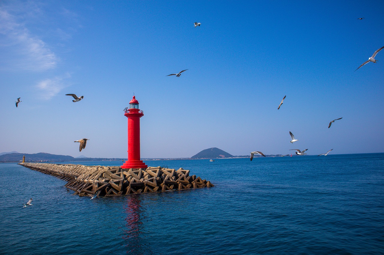 숨겨진 제주도 포토존 - 바리메오름의 매력 탐방기