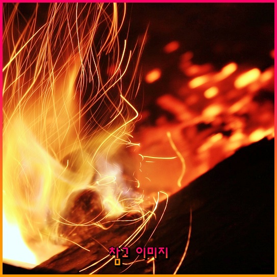 KB 다이렉트 자동차보험: 당신을 위한 든든한 보장과 다양한 혜택