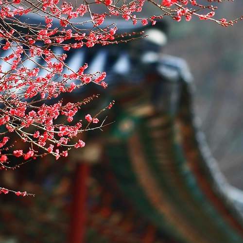 ESS 테마주, 필수 체크! 국내 주식으로 추천하는 8종목