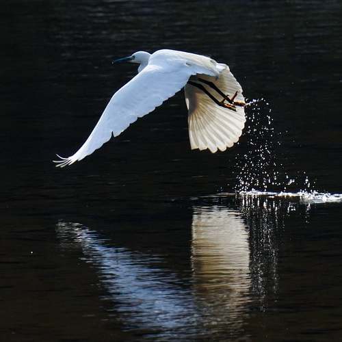 장애인연금 신청 절차와 요건, 이제 알리겠습니다!