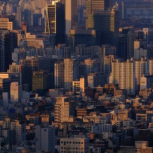 아드반탄연고, 당신의 아토피 개선의 친구가 될 수 있는 이유