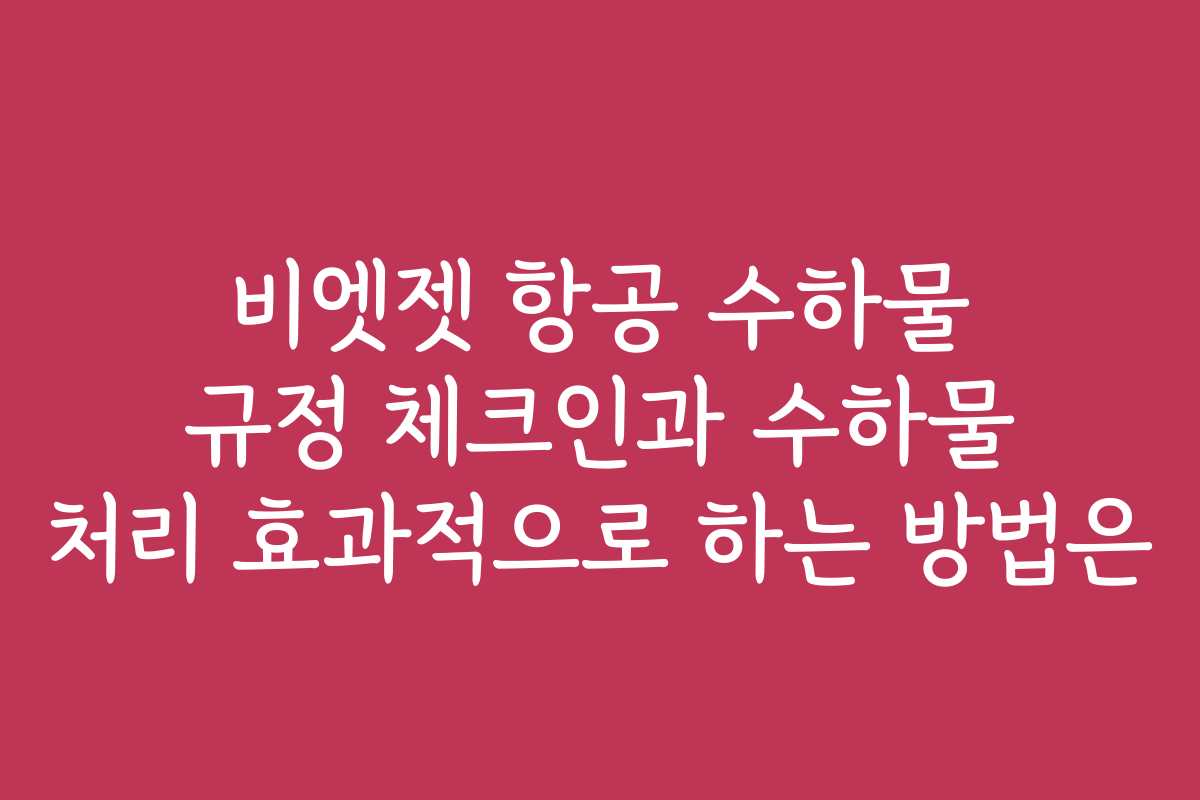 비엣젯 항공 수하물 규정 체크인과 수하물 처리 효과적으로 하는 방법은