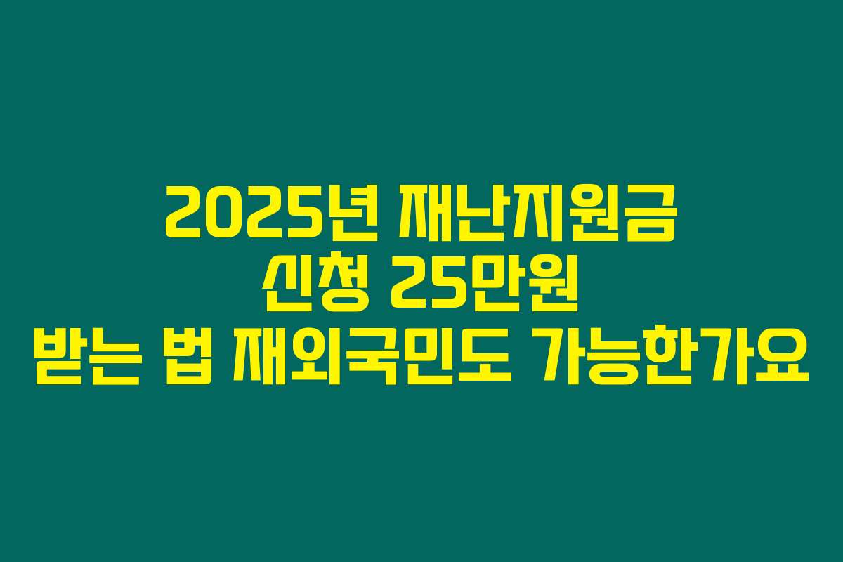 2025년 재난지원금 신청 25만원 받는 법 재외국민도 가능한가요