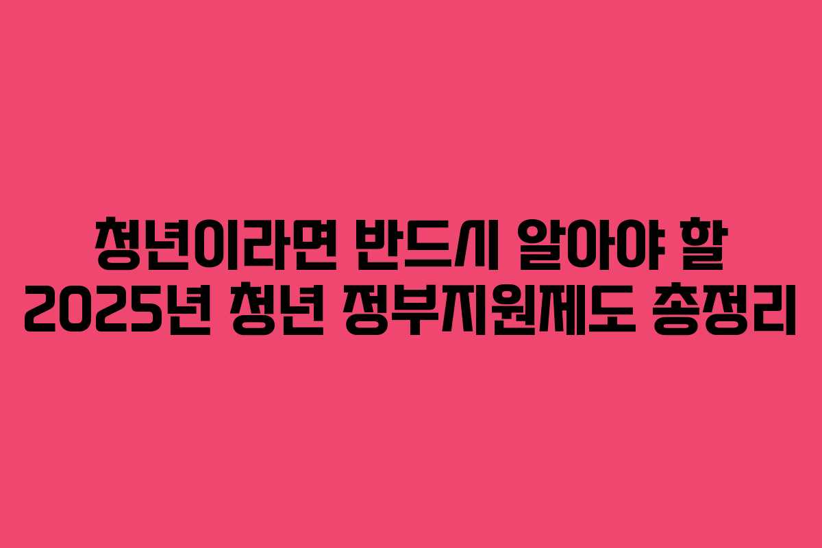 청년이라면 반드시 알아야 할 2025년 청년 정부지원제도 총정리