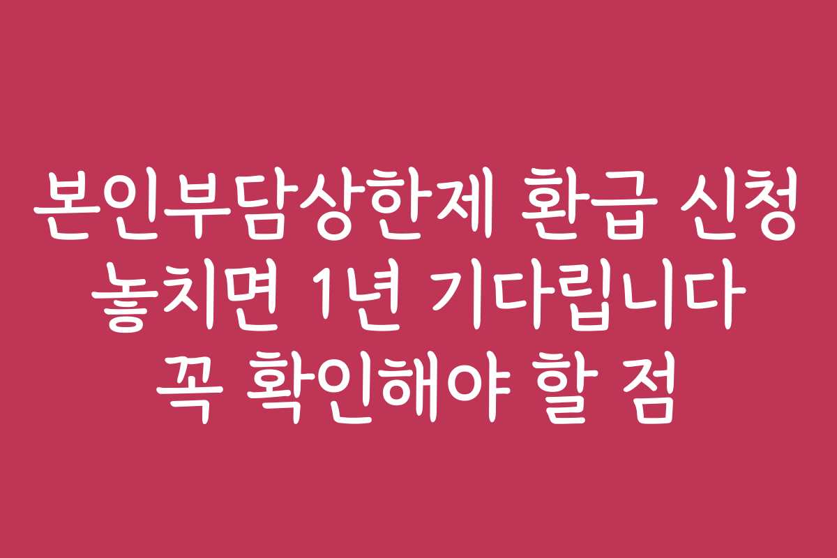 본인부담상한제 환급 신청 놓치면 1년 기다립니다 꼭 확인해야 할 점