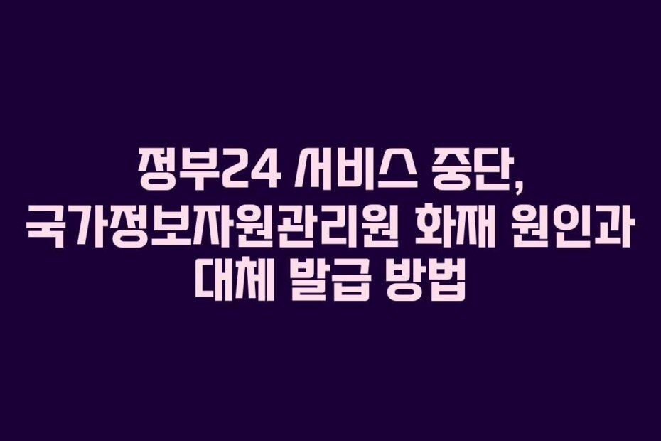 정부24 서비스 중단, 국가정보자원관리원 화재 원인과 대체 발급 방법