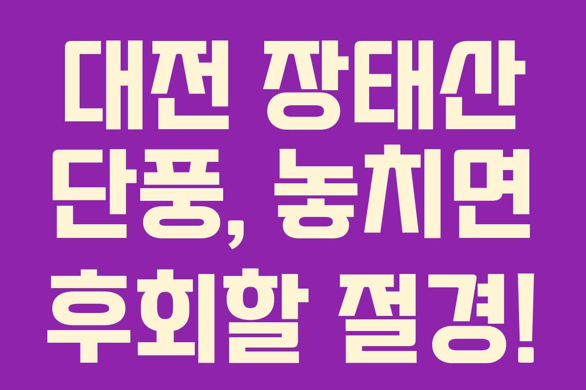 대전 장태산 단풍, 놓치면 후회할 절경!