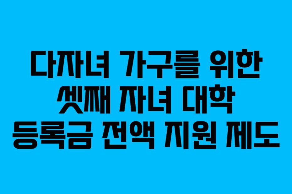 다자녀 가구를 위한 셋째 자녀 대학 등록금 전액 지원 제도