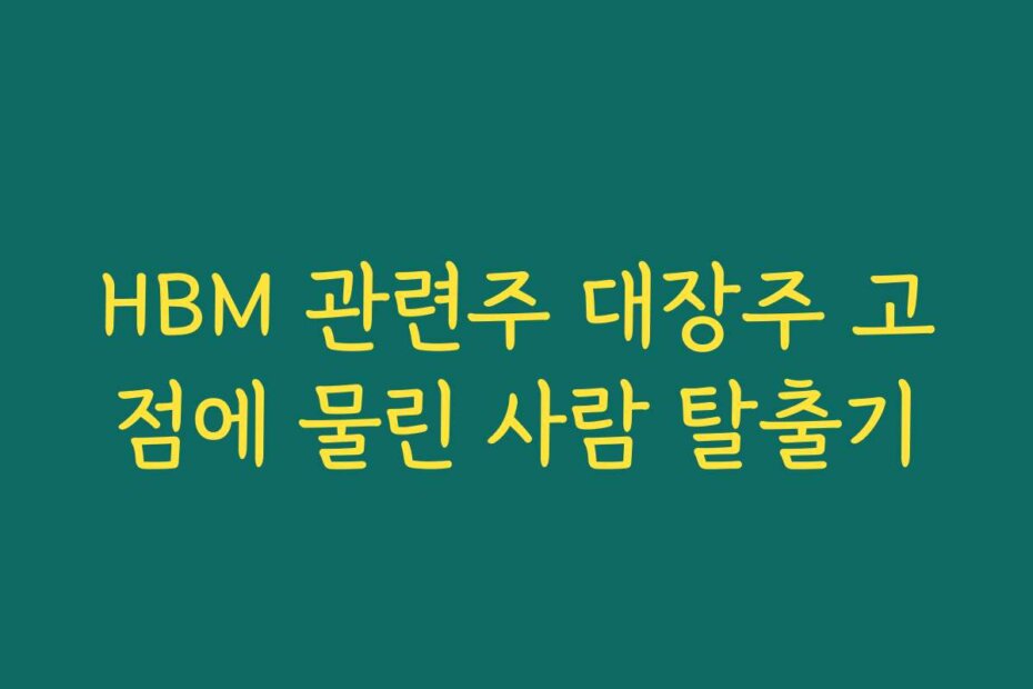 HBM 관련주 대장주 고점에 물린 사람 탈출기