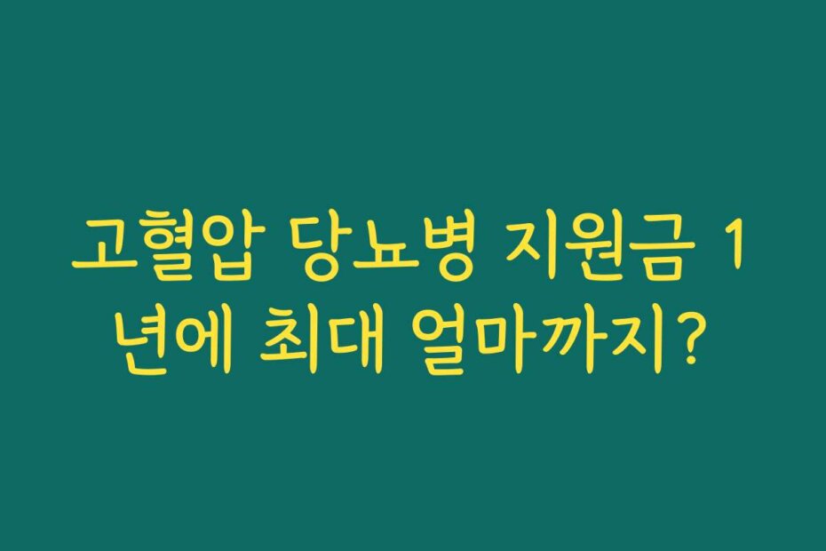 고혈압 당뇨병 지원금 1년에 최대 얼마까지?