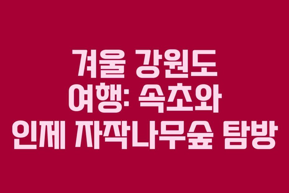 겨울 강원도 여행: 속초와 인제 자작나무숲 탐방