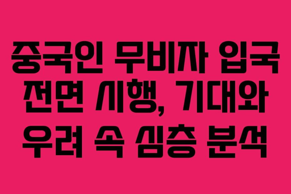 중국인 무비자 입국 전면 시행, 기대와 우려 속 심층 분석