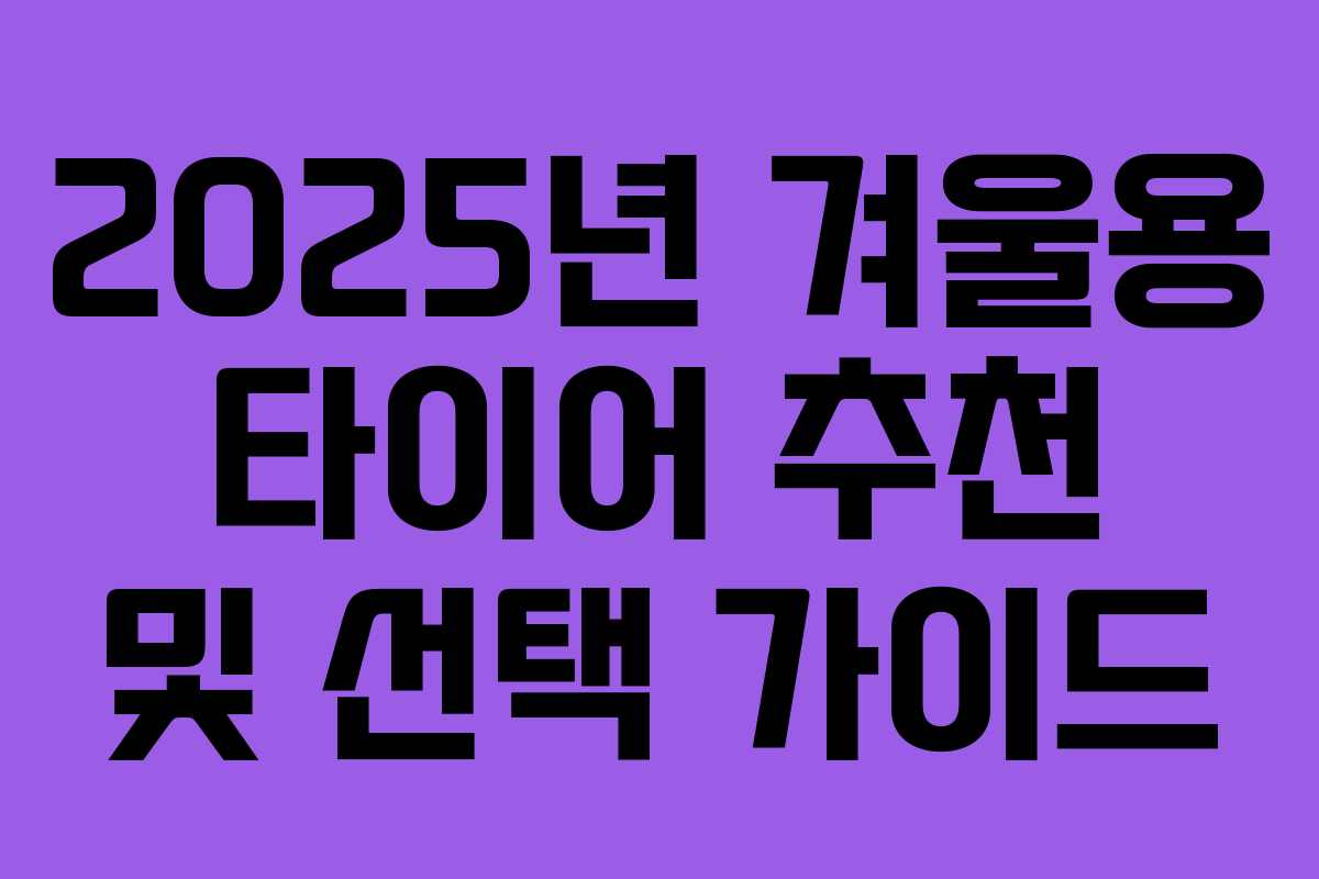 2025년 겨울용 타이어 추천 및 선택 가이드