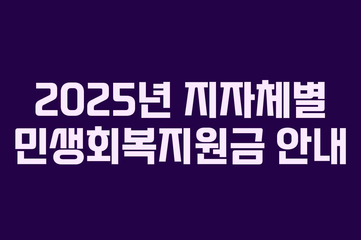 2025년 지자체별 민생회복지원금 안내