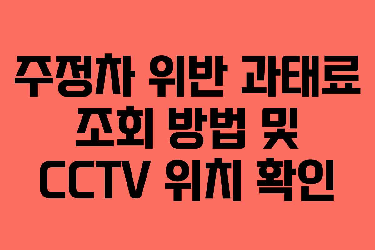주정차 위반 과태료 조회 방법 및 CCTV 위치 확인