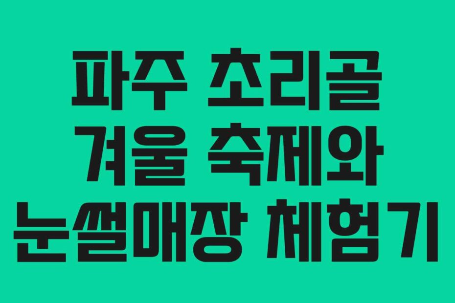 파주 초리골 겨울 축제와 눈썰매장 체험기