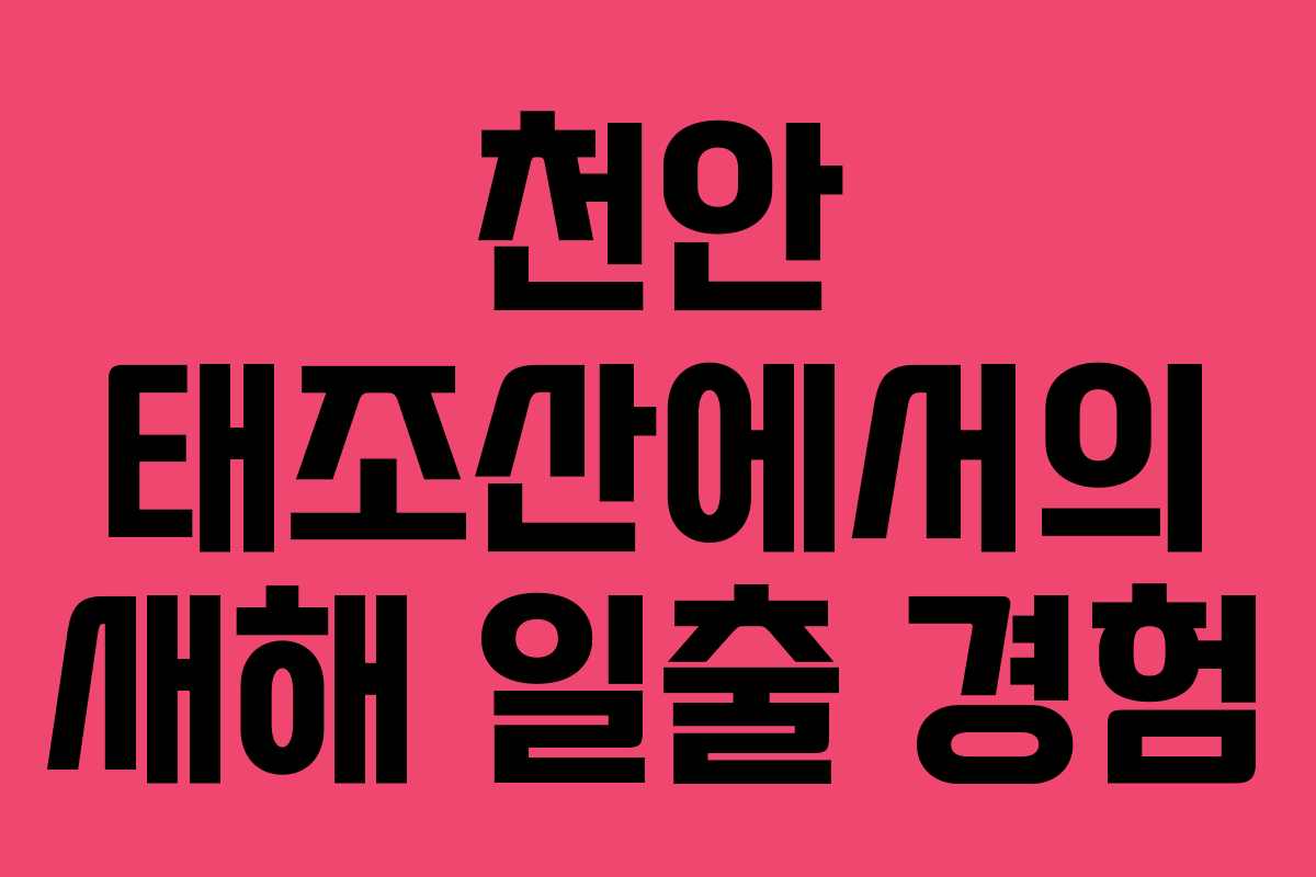 천안 태조산에서의 새해 일출 경험