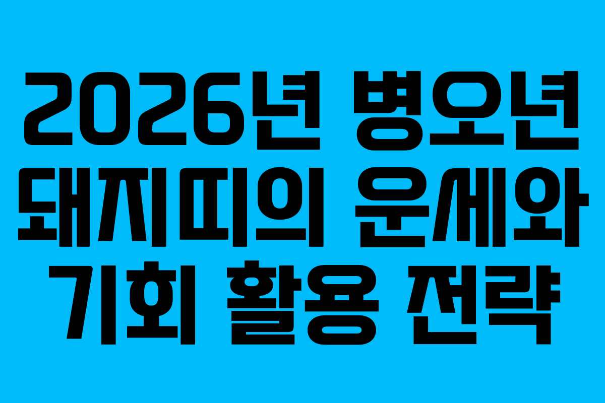 2026년 병오년 돼지띠의 운세와 기회 활용 전략