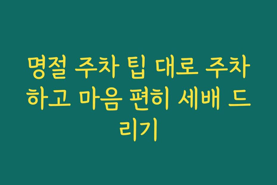 명절 주차 팁 대로 주차하고 마음 편히 세배 드리기
