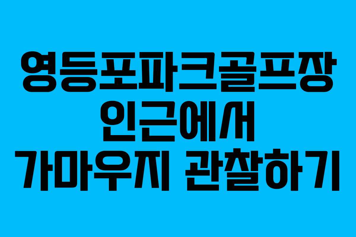 영등포파크골프장 인근에서 가마우지 관찰하기
