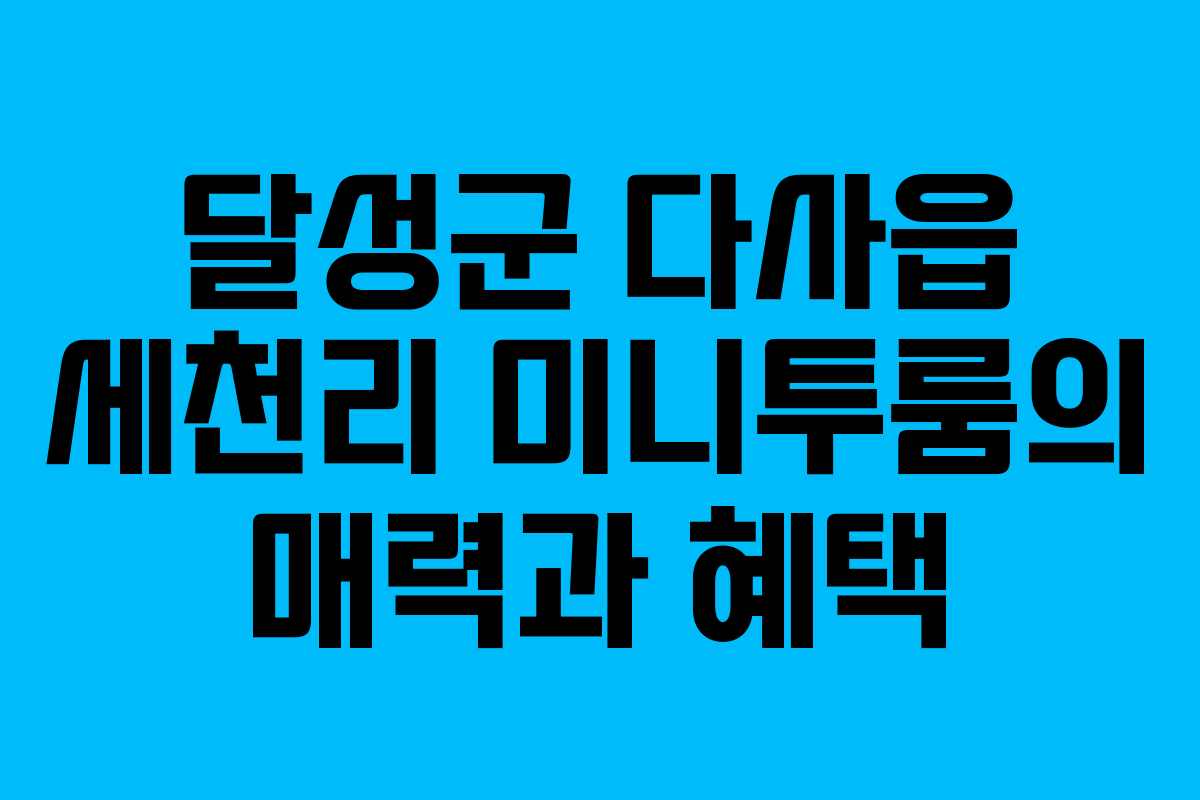 달성군 다사읍 세천리 미니투룸의 매력과 혜택
