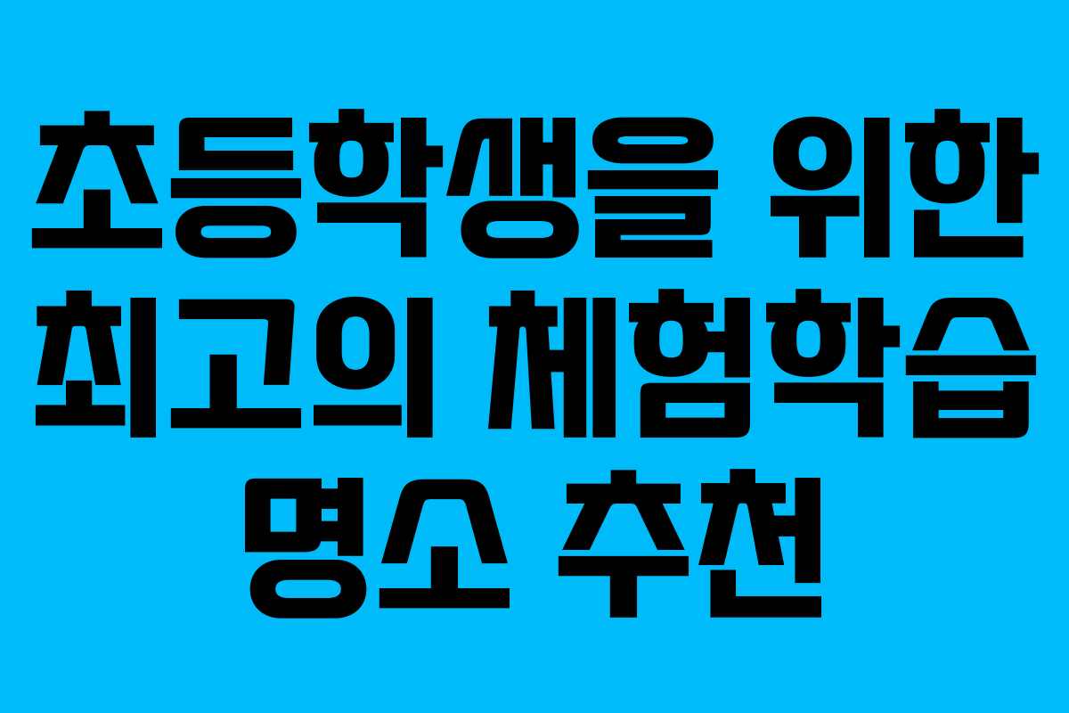 초등학생을 위한 최고의 체험학습 명소 추천