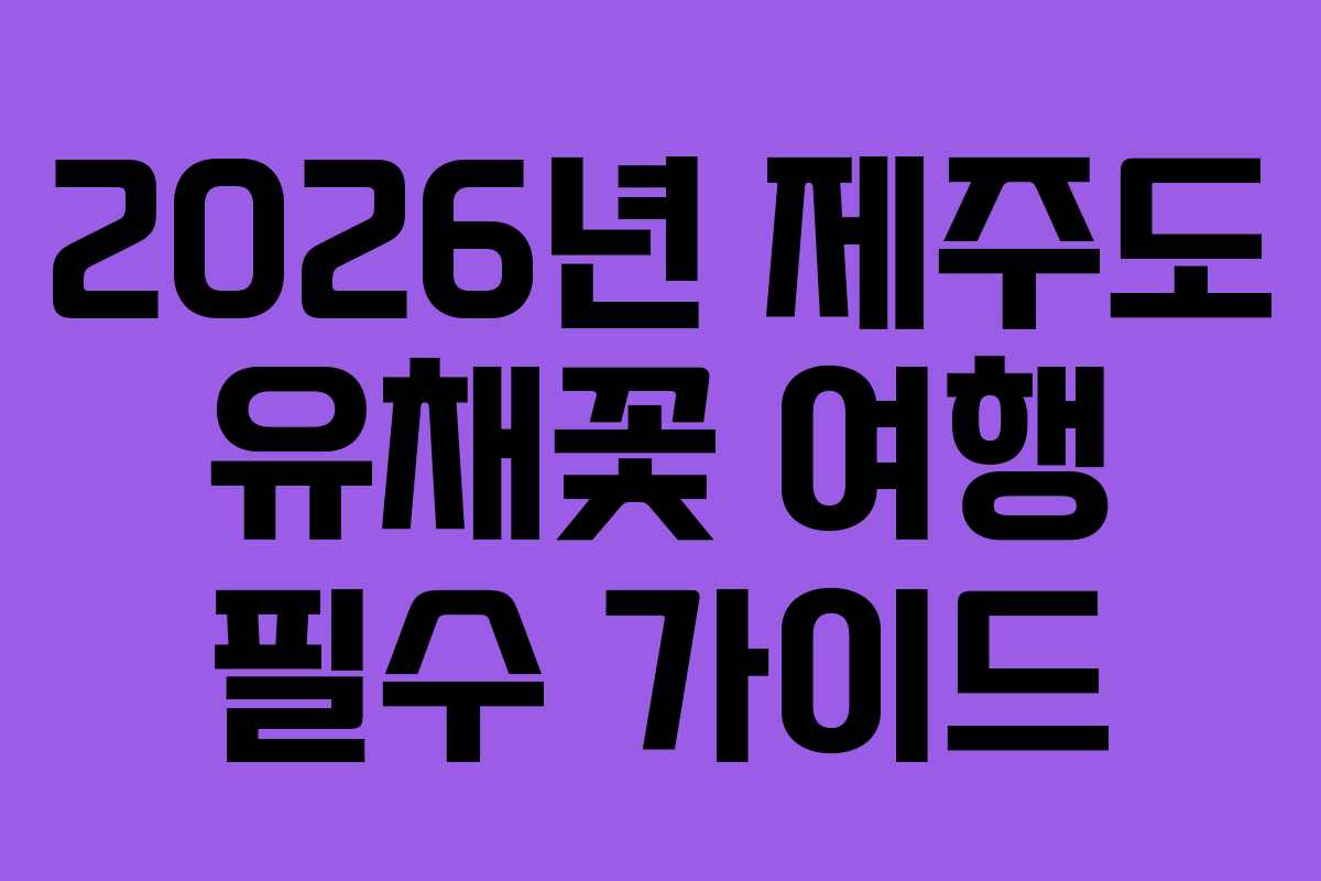 2026년 제주도 유채꽃 여행 필수 가이드
