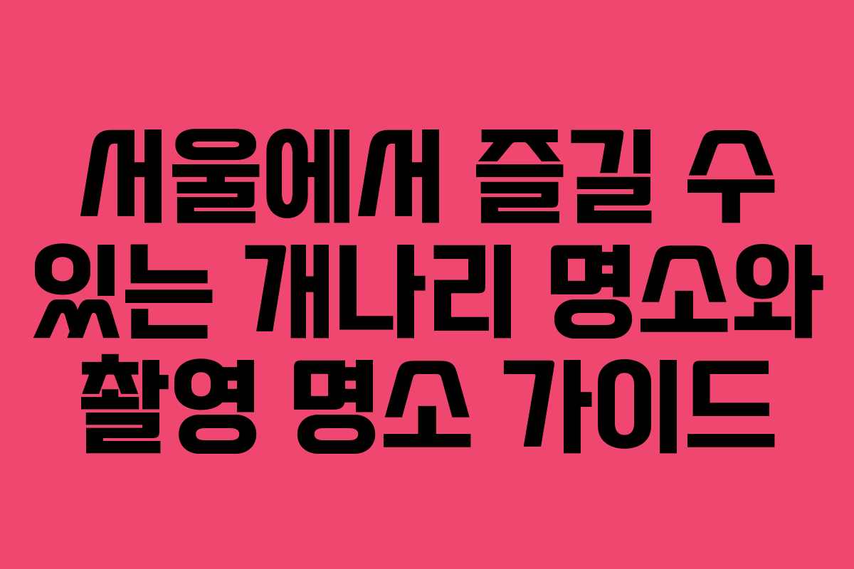 서울에서 즐길 수 있는 개나리 명소와 촬영 명소 가이드