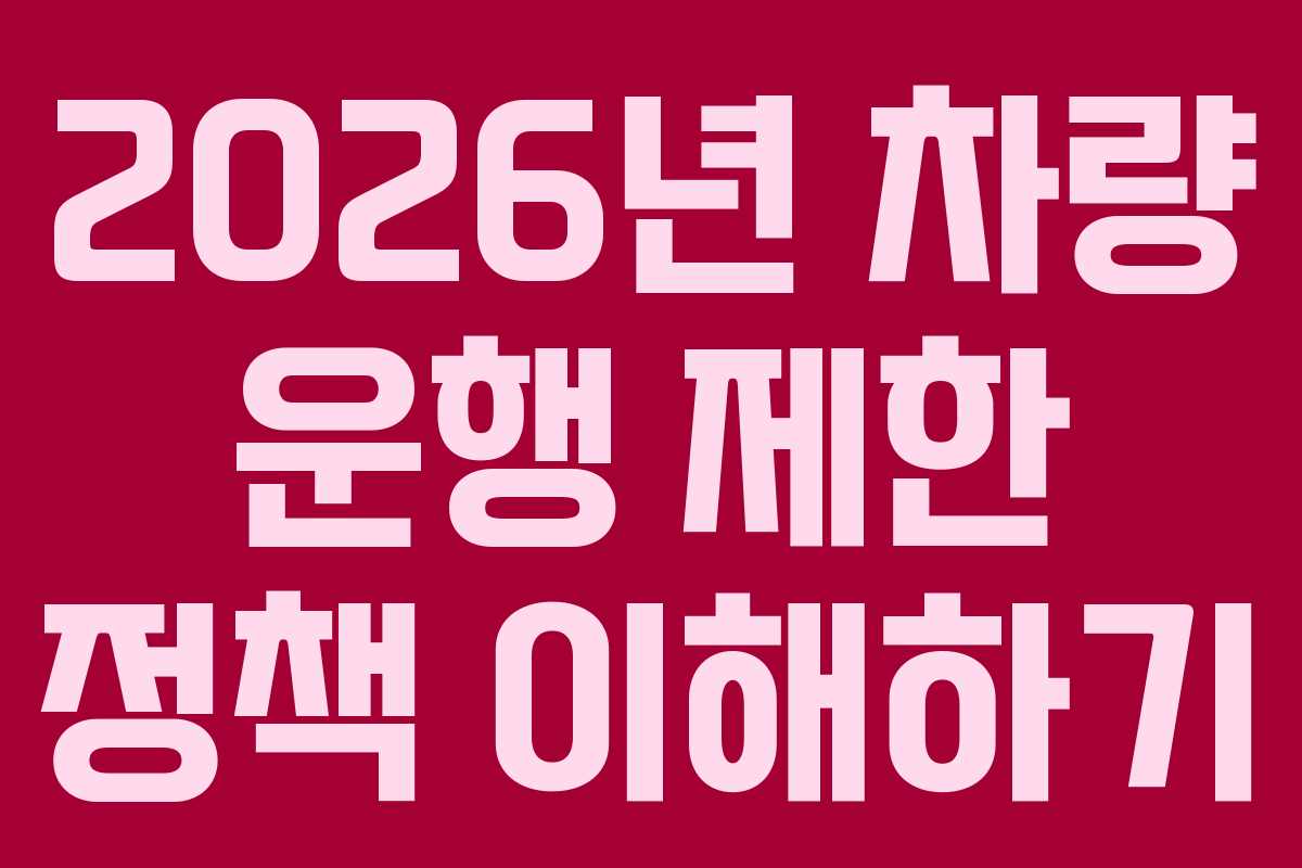 2026년 차량 운행 제한 정책 이해하기