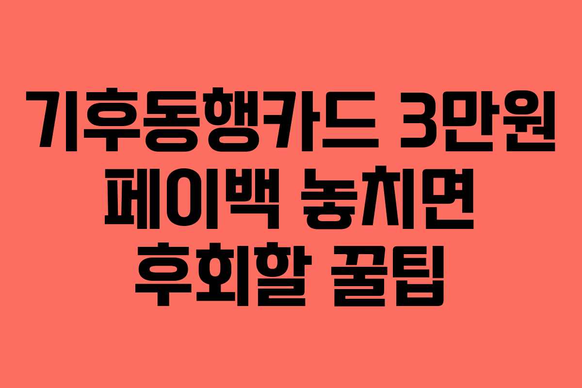 기후동행카드 3만원 페이백 놓치면 후회할 꿀팁