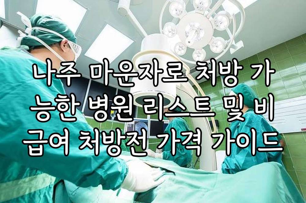 나주 마운자로 처방 가능한 병원 리스트 및 비급여 처방전 가격 가이드