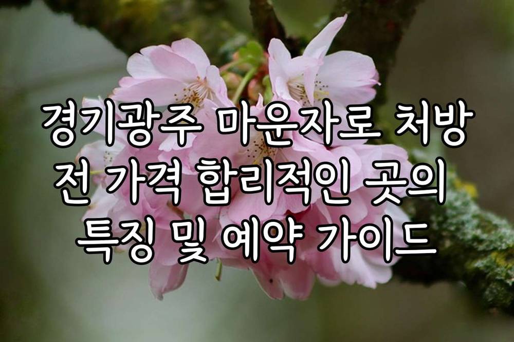 경기광주 마운자로 처방전 가격 합리적인 곳의 특징 및 예약 가이드