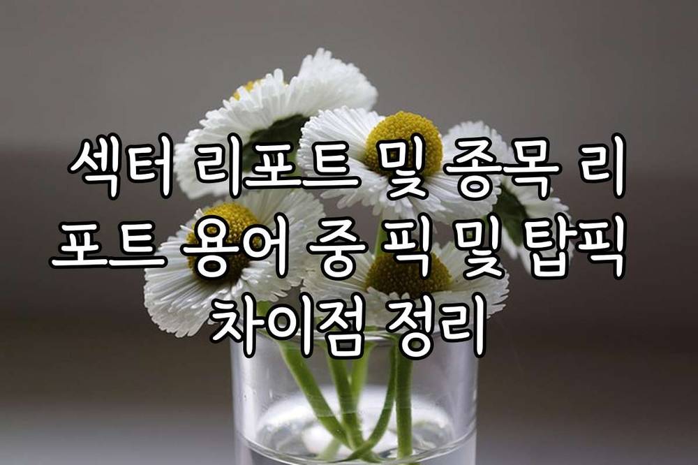 섹터 리포트 및 종목 리포트 용어 중 픽 및 탑픽 차이점 정리