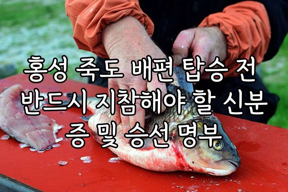 홍성 죽도 배편 탑승 전 반드시 지참해야 할 신분증 및 승선 명부