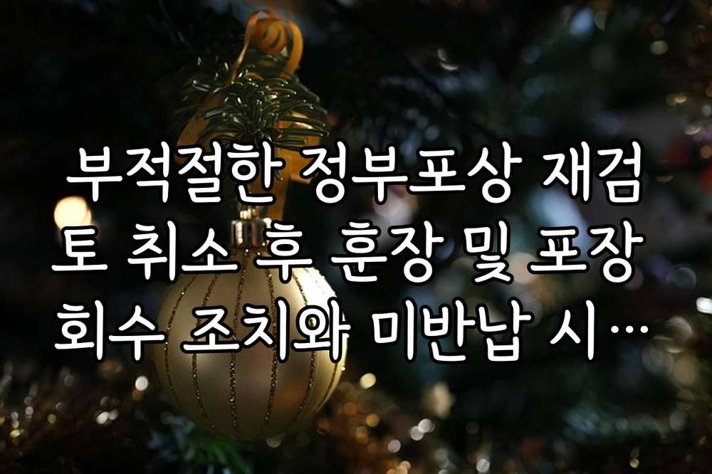 부적절한 정부포상 재검토 취소 후 훈장 및 포장 회수 조치와 미반납 시 불이익