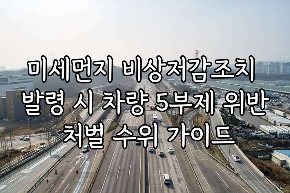 미세먼지 비상저감조치 발령 시 차량 5부제 위반 처벌 수위 가이드