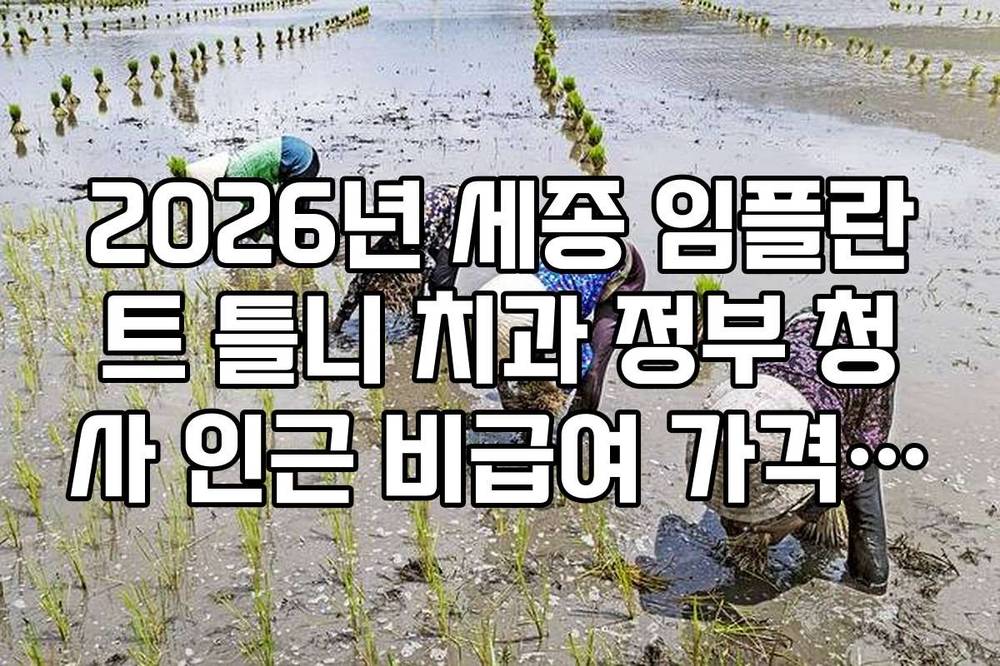 2026년 세종 임플란트 틀니 치과 정부 청사 인근 비급여 가격 비교 리스트