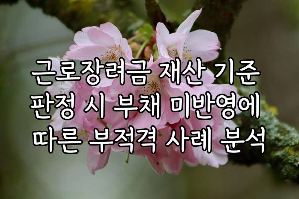 근로장려금 재산 기준 판정 시 부채 미반영에 따른 부적격 사례 분석
