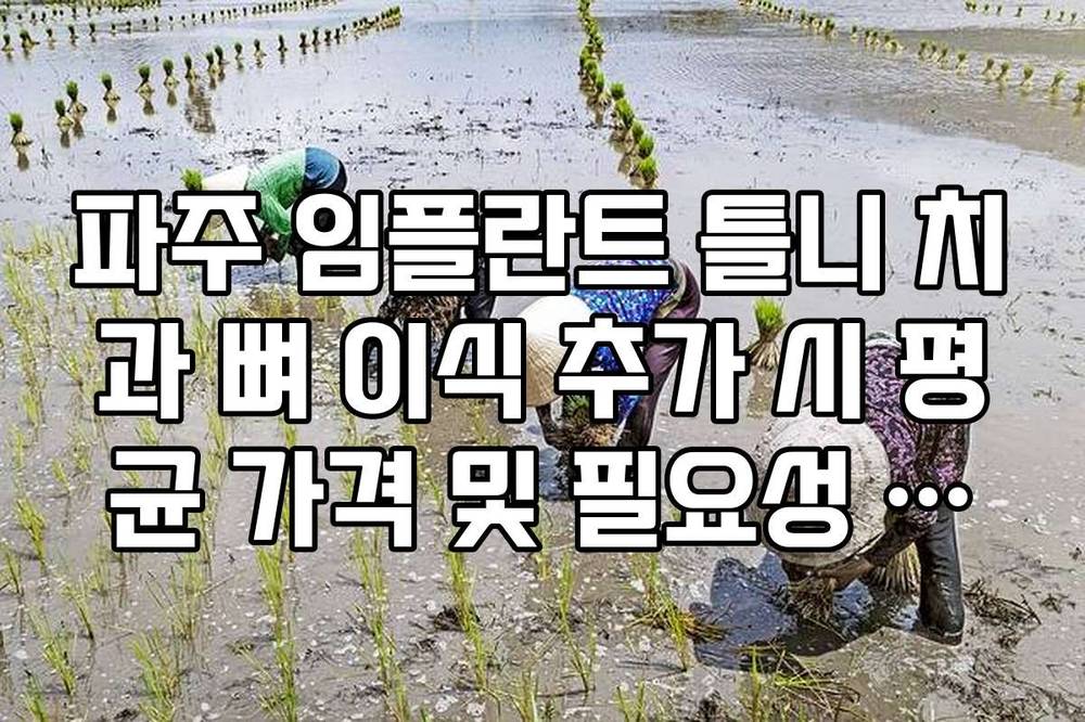 파주 임플란트 틀니 치과 뼈 이식 추가 시 평균 가격 및 필요성 팩트 체크