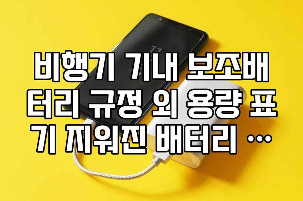비행기 기내 보조배터리 규정 외 용량 표기 지워진 배터리 압수 방지 팁