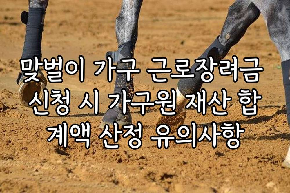 맞벌이 가구 근로장려금 신청 시 가구원 재산 합계액 산정 유의사항