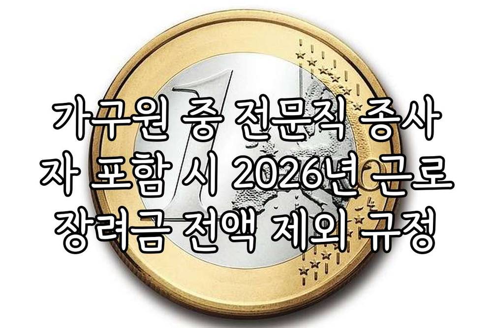 가구원 중 전문직 종사자 포함 시 2026년 근로장려금 전액 제외 규정
