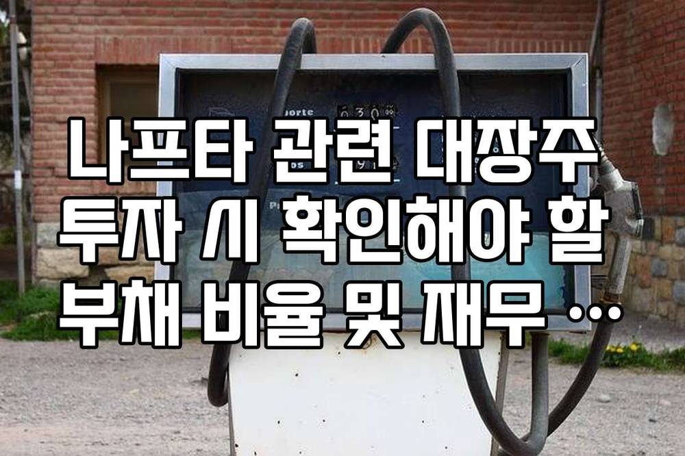 나프타 관련 대장주 투자 시 확인해야 할 부채 비율 및 재무 건전성