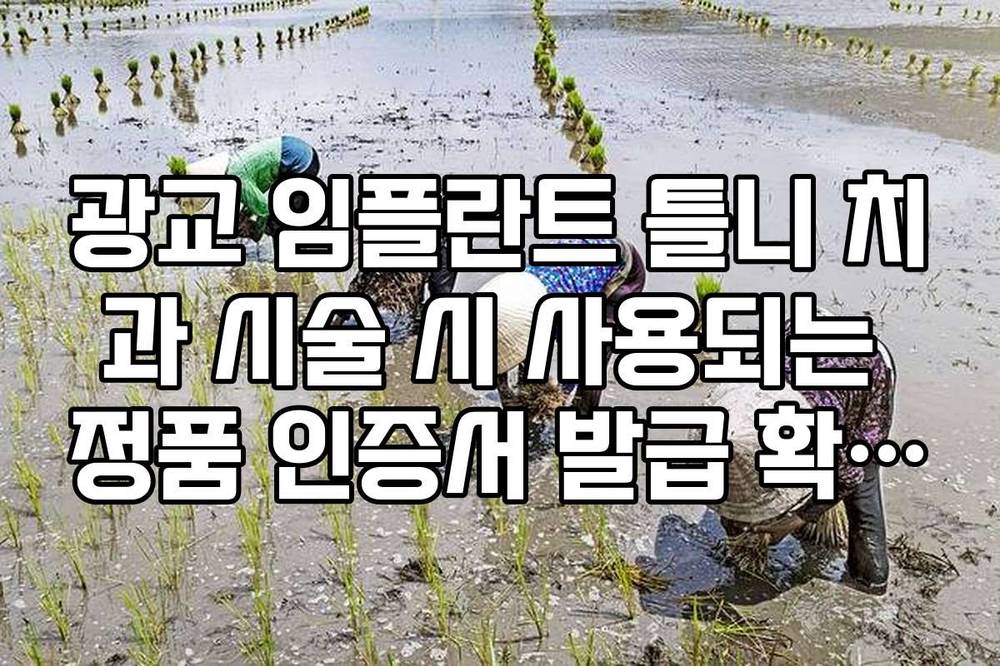 광교 임플란트 틀니 치과 시술 시 사용되는 정품 인증서 발급 확인법