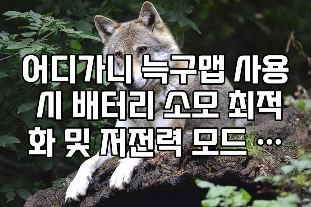 어디가니 늑구맵 사용 시 배터리 소모 최적화 및 저전력 모드 설정 팁