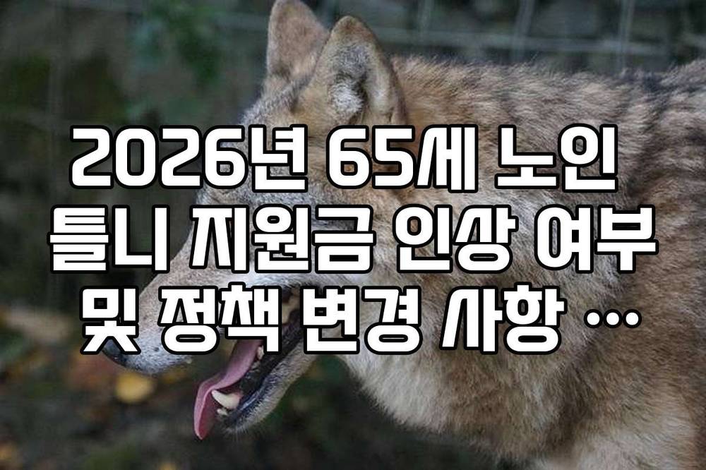 2026년 65세 노인 틀니 지원금 인상 여부 및 정책 변경 사항 팩트 체크